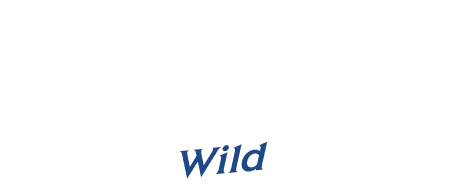 はるやまの褒められスーツ Wild