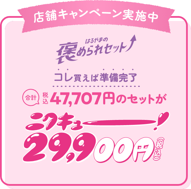 コレ買えば準備完了 29,900円(税込) ニクキュー！