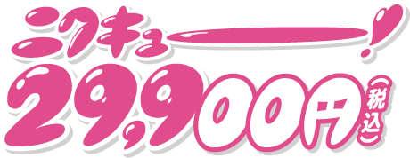 29,900円(税込)